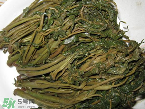 腌香椿要燙嗎？香椿腌之前用不用開水燙？