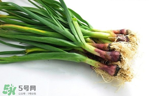 蒜苗多少錢一斤？蒜苗多少錢一斤2017？