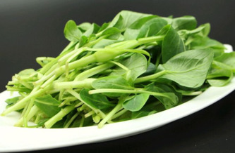 雞毛菜是什么菜？雞毛菜是小白菜嗎