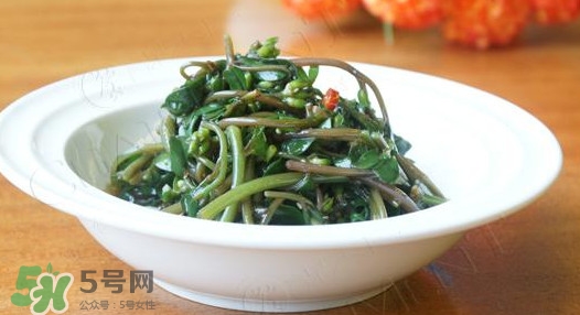 馬莧菜怎么吃？馬莧菜怎么做好吃