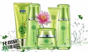 一葉子和百雀羚哪個(gè)好？一葉子和百雀羚面膜對比