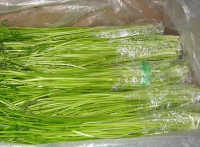 水芹菜如何保鮮？水芹菜怎么保鮮