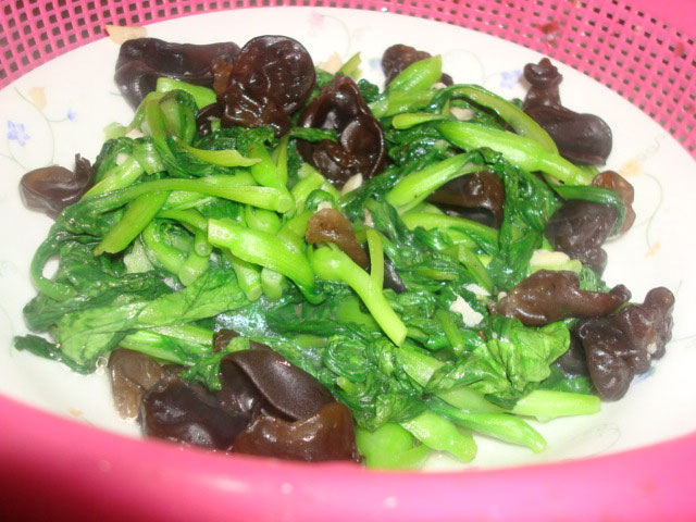 雞毛菜是什么菜？雞毛菜是小白菜嗎