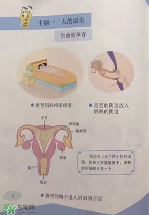孩子瀏覽成人網(wǎng)站怎么辦？小學(xué)性教育有沒有必要？
