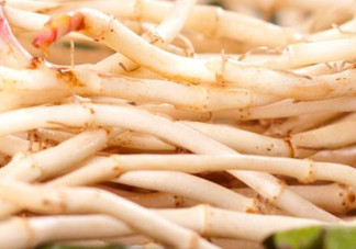 新鮮魚(yú)腥草怎么煮水？魚(yú)腥草怎么煮水喝