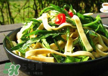 水芹菜的葉子可以吃嗎？水芹菜葉子能吃嗎