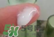 一葉子和百雀羚哪個(gè)好？一葉子和百雀羚面膜對比