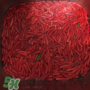辣醬怎么做好吃？四川辣醬的制作方法