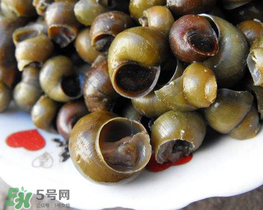 田螺可以凈化水質(zhì)嗎？田螺能凈化水質(zhì)嗎？