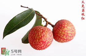 4月份有荔枝嗎？四月份有荔枝嗎？