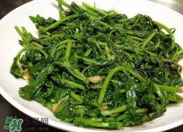 枸杞頭怎么吃？枸杞頭如何吃