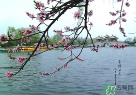 四月份去哪里旅游比較好？四月份最適合旅游的地方