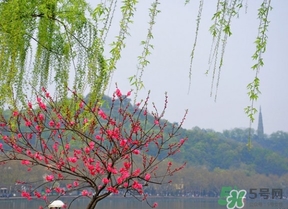 四月份去哪里旅游比較好？四月份最適合旅游的地方