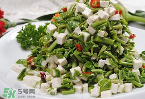 香椿可以助孕嗎？香椿有助孕的功效嗎？