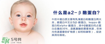 A2奶粉分幾種？A2奶粉有幾個種類？