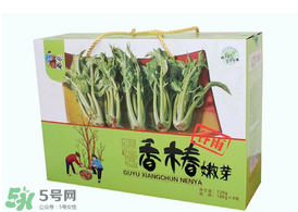香椿能泡茶嗎？香椿茶的功效與作用