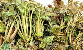 香椿和平菇能一起吃嗎？香椿和香菇能一起吃嗎？