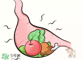 吃香椿會(huì)上火嗎？香椿吃多了會(huì)上火嗎？