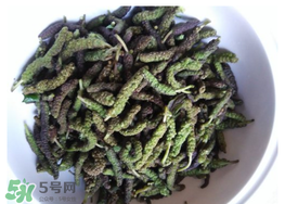 蒸構(gòu)樹花兒孕婦可以吃嗎？孕婦可以吃蒸構(gòu)樹花兒嗎？