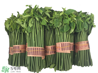 樹仔菜有毒嗎？樹仔菜有沒有毒？