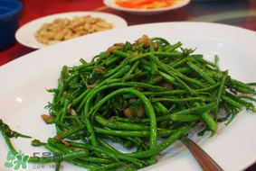 樹仔菜有毒嗎？樹仔菜有沒有毒？
