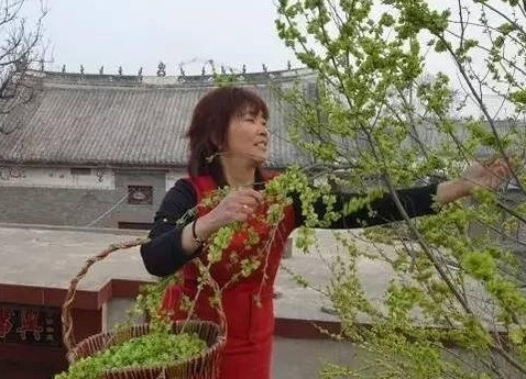 榆錢怎么蒸？蒸榆錢的做法