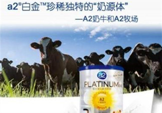 A2奶粉分白金和鉑金嗎？A2奶粉白金鉑金有區(qū)別嗎？