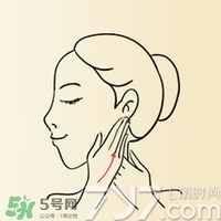雅頓時空膠囊怎么用？伊麗莎白雅頓時空膠囊使用方法