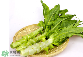 萵筍能放冰箱嗎？萵筍放冰箱能吃嗎？