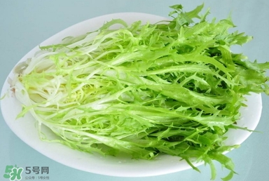 苦苣根哪里有賣？苦苣根茶在那里買的到