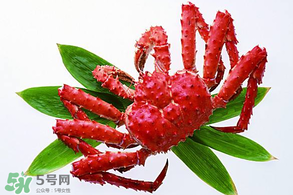 香椿能和海鮮一起吃嗎？香椿和海鮮能一起吃嗎？