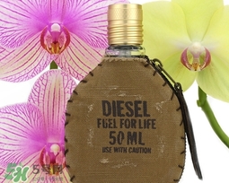diesel迪塞爾是什么牌子？diesel是哪個國家的？