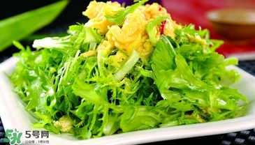 苦菊能和韭菜一起吃嗎？苦菊可以和韭菜一起吃嗎