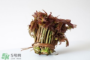 香椿樹什么時候發(fā)芽？香椿樹什么時候種植