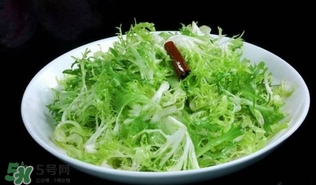 苦菊吃多了好嗎？苦菊吃多了好不