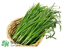 苦菊能和韭菜一起吃嗎？苦菊可以和韭菜一起吃嗎