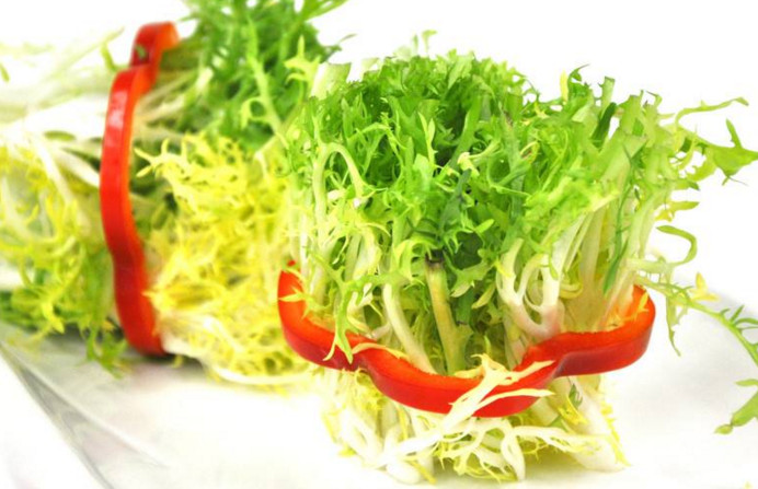 苦菊和什么相克？苦菊不能和什么同吃