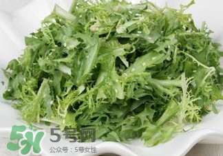 苦菊吃多了好嗎？苦菊吃多了好不