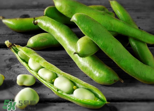 蠶豆什么時候成熟？蠶豆什么時候上市？