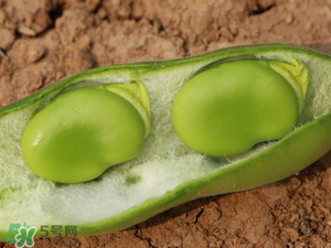 蠶豆什么時候成熟？蠶豆什么時候上市？