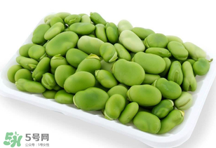 蠶豆什么時候成熟？蠶豆什么時候上市？