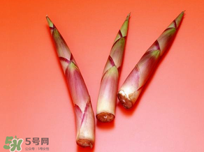 竹筍什么人不能吃？哪些人不適合吃竹筍？