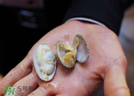花甲怎么養(yǎng)不會死？花甲怎么養(yǎng)到用第二天？