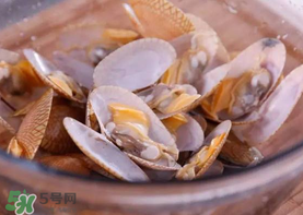 花甲怎么養(yǎng)不會死？花甲怎么養(yǎng)到用第二天？