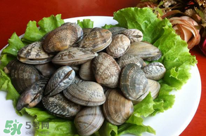 花甲不開口怎么辦？怎么讓花甲開口？