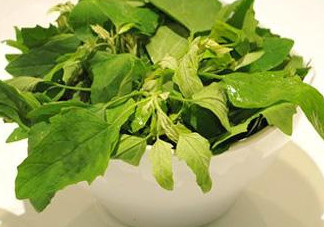 灰灰菜怎么吃？灰灰菜的吃法
