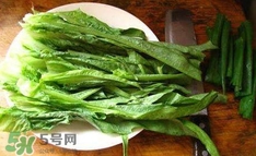 萵苣葉是什么？生菜是不是萵苣葉子