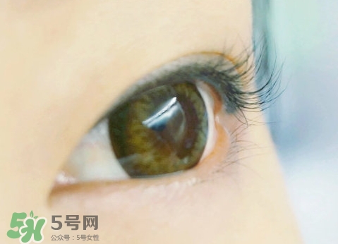 貝印和muji睫毛夾哪個(gè)好？貝印和無印良品睫毛夾對(duì)比