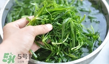 掃帚菜怎么做好吃？掃帚菜怎么吃好吃