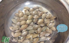 芒果螺怎么清洗？芒果螺怎么吃